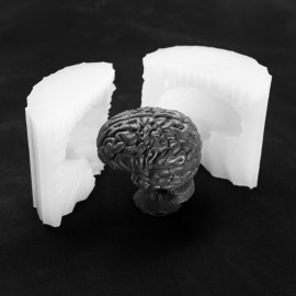 Форма мозг 3D